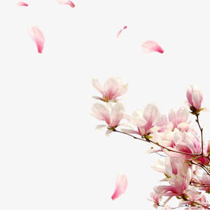 Meet your Posher, Claudia